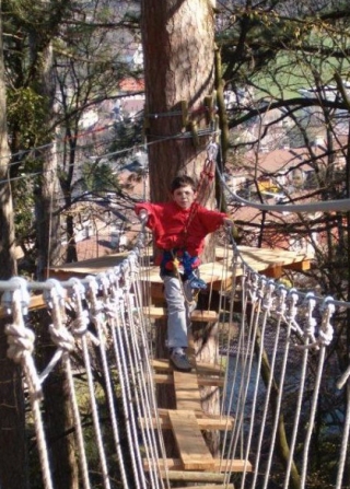  The monkey bridge 